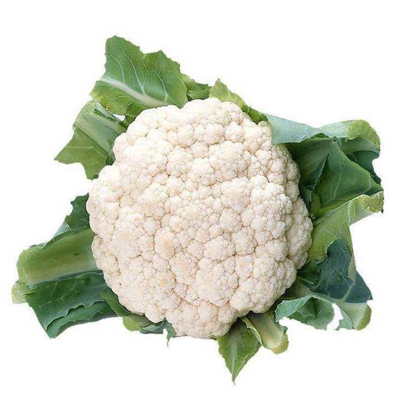 蔬菜配送